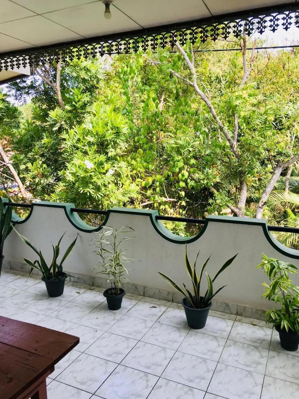 Dana Guest Home Мириса Екстериор снимка